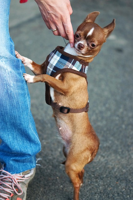 守转换加速